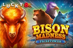 bison madness